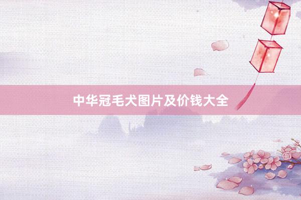 中华冠毛犬图片及价钱大全